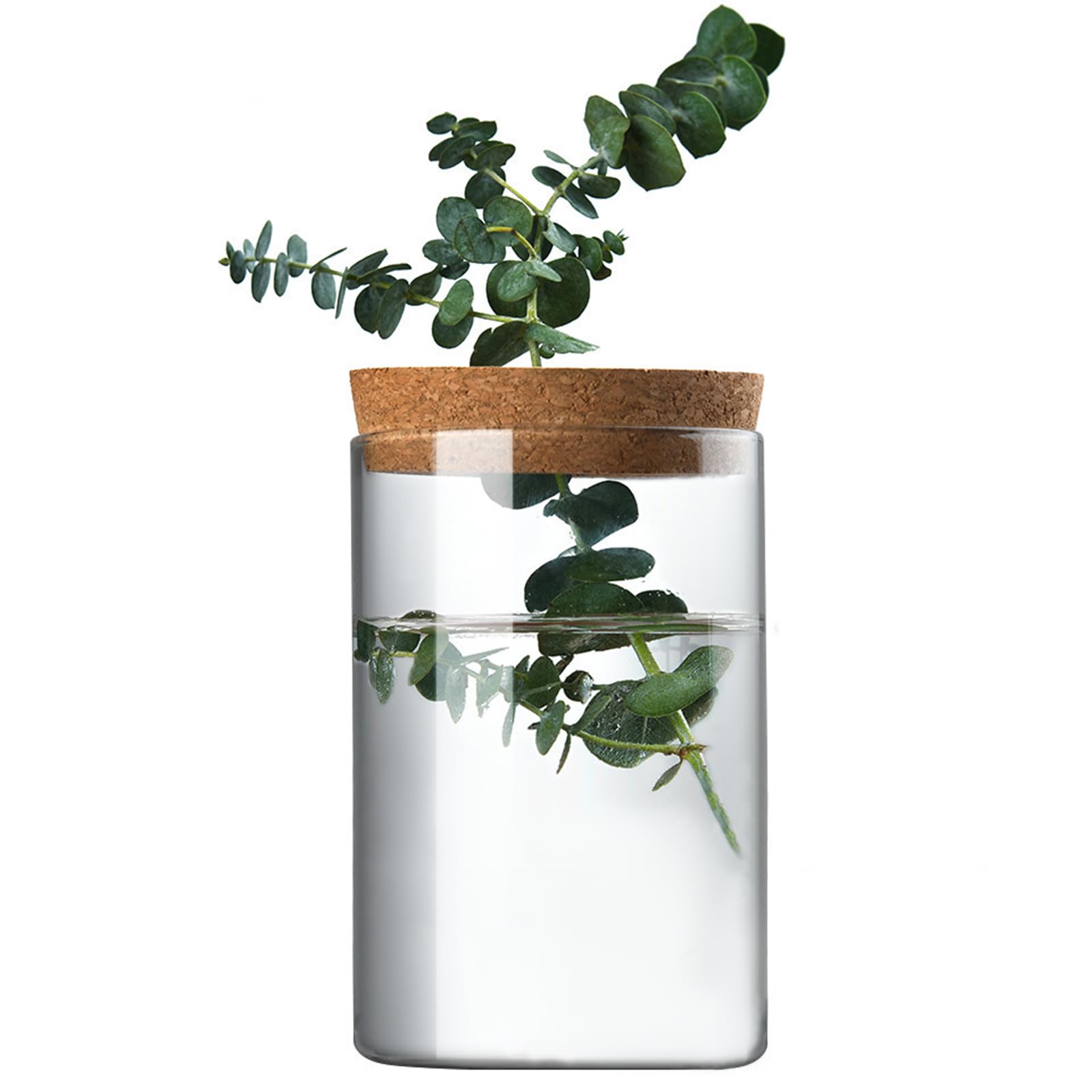 Amazon.com: Clear Glass Planter Vase with Wooden Lid and Bamboo